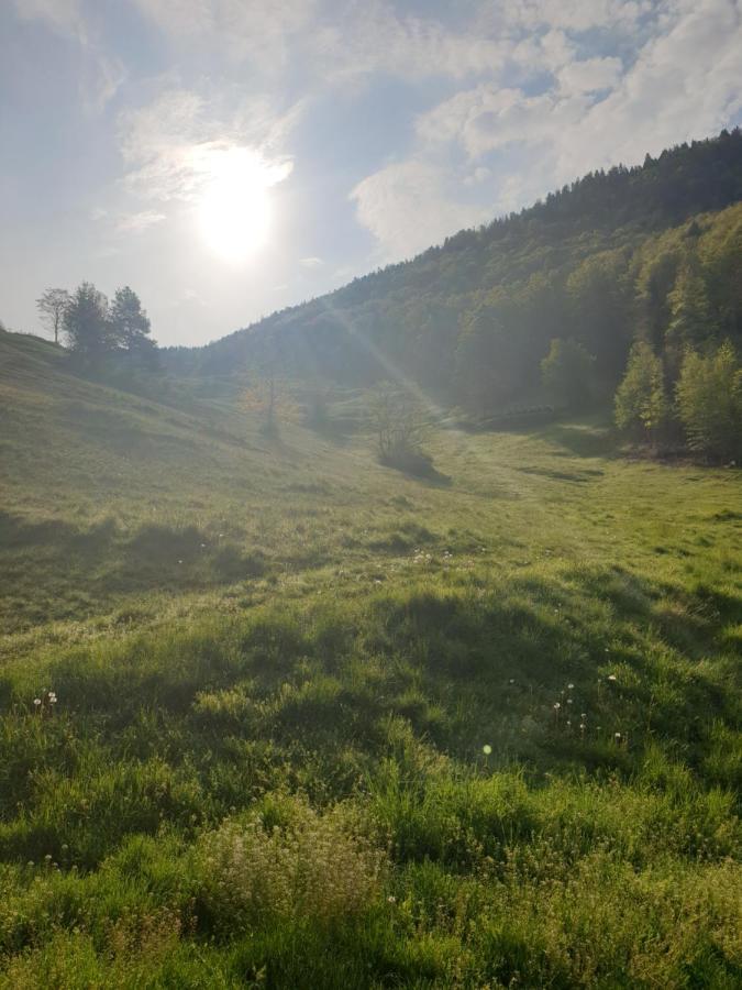 Agreable Chambre D'Hotes, Au Calme, Dans La Nature Roches Exterior foto