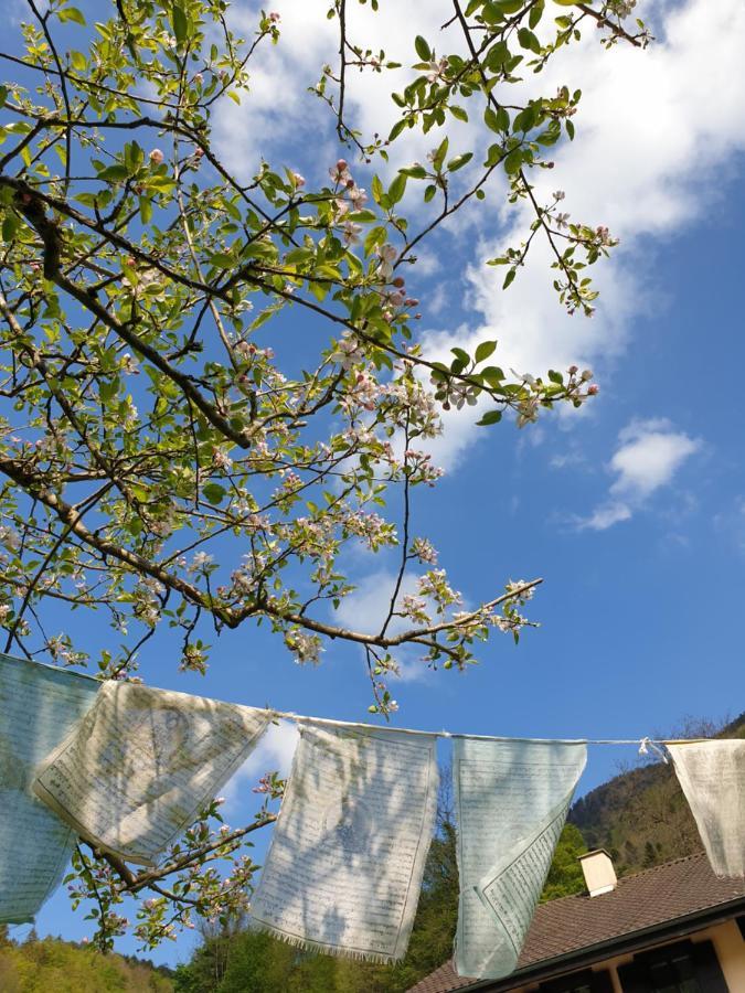 Agreable Chambre D'Hotes, Au Calme, Dans La Nature Roches Exterior foto