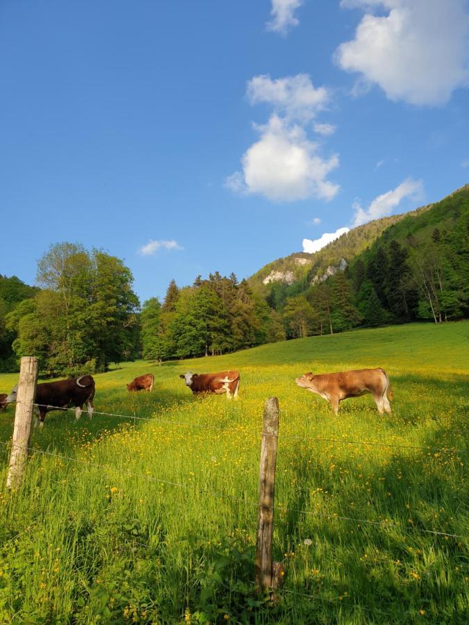Agreable Chambre D'Hotes, Au Calme, Dans La Nature Roches Exterior foto